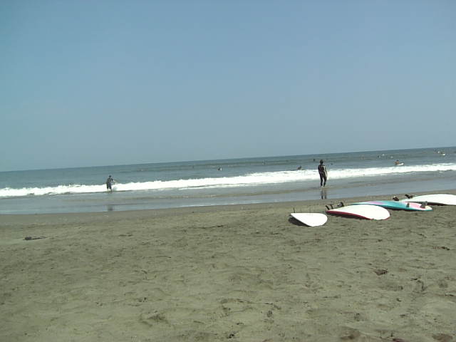 海に来ました
