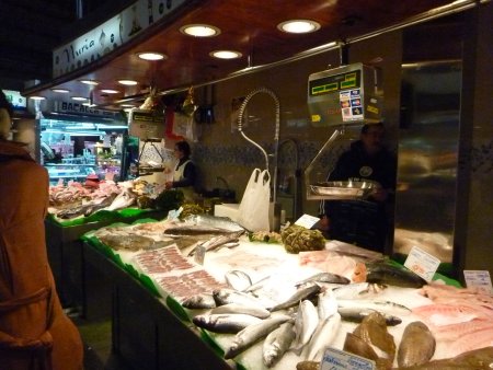 魚だってたくさん