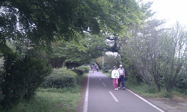 自転車道の雰囲気