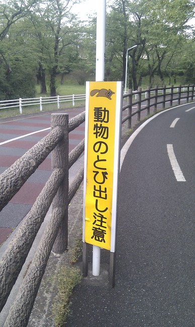 一応東京都です。