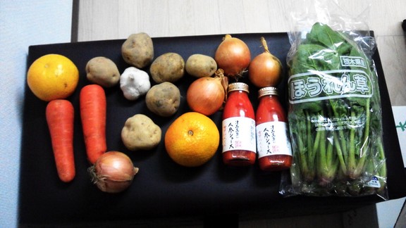 参加賞の野菜