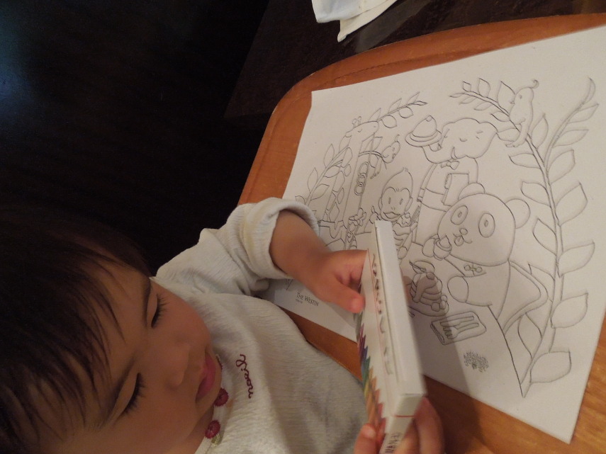 子供用にクレヨンもらいました DSCN6214