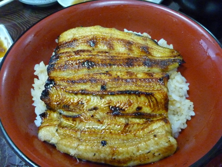 P1000558