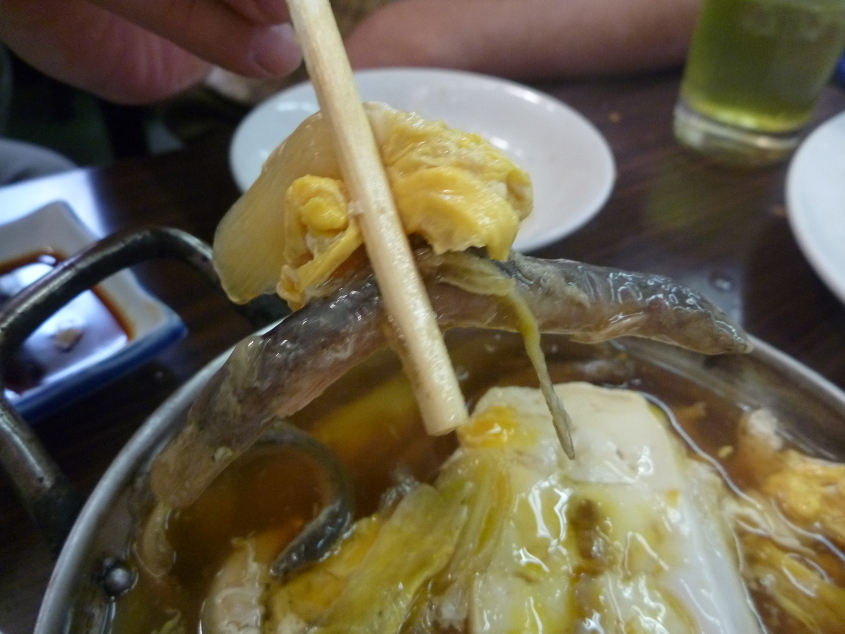 どぜう P1010464