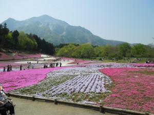 奥には武甲山が見える