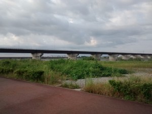 IMG_20150921_065238252