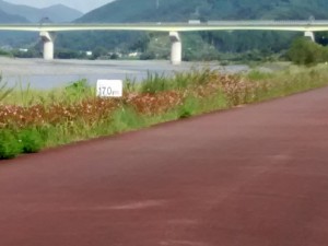 IMG_20150921_081319822