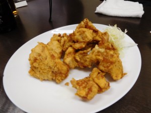 DSCN0408